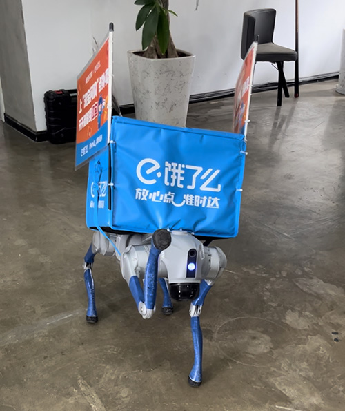 玉溪机器狗“外卖员”上岗.jpg