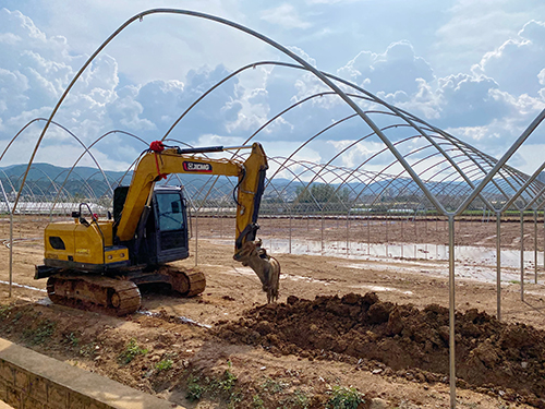 梅营社区建设千亩蓝莓基地助推乡村振兴.jpg